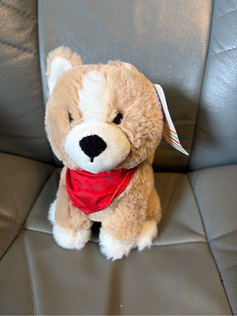 Cute Valentine’s Dog Plush
